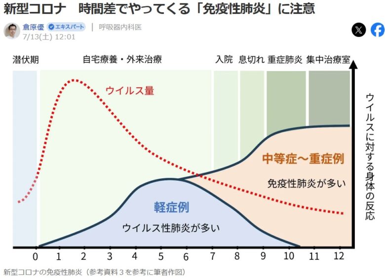 新型コロナ　免疫性肺炎　画像