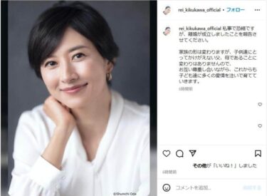 菊川怜はなぜ離婚？理由は元夫の婚外子？最初から割り切り結婚との噂も